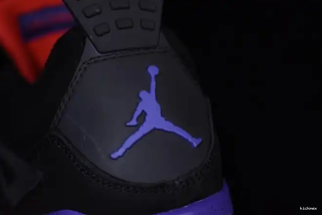 Cheap MAX Jordan Raptors